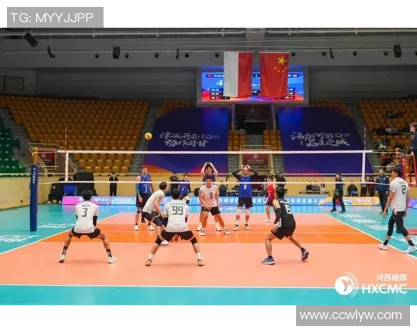 2026排球团队协作排行榜:西安排球队位居第2名