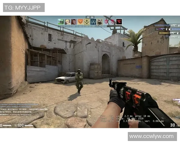 CS_GO热议：WE的团队协作争议